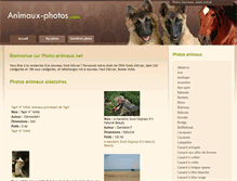 Tablet Screenshot of animaux-photo.com